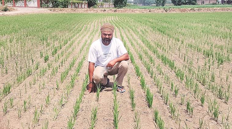 Water and agriculture: Seeding change | India News, The ...