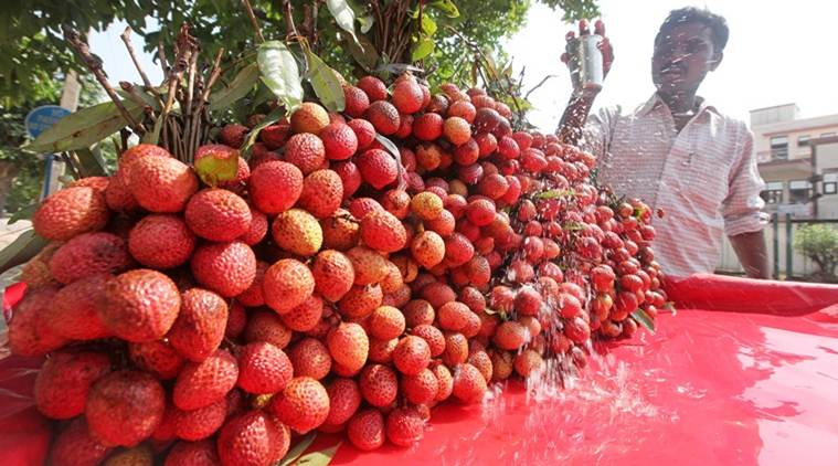 Odisha orders laboratory test of Litchi