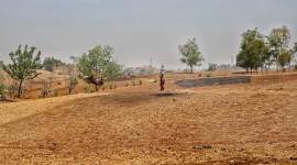 maharashta water scarcity, maharashtra drought, maharashtra crops, Marathwada crops, Marathwada water scarcity, maharashtra news, indian express news