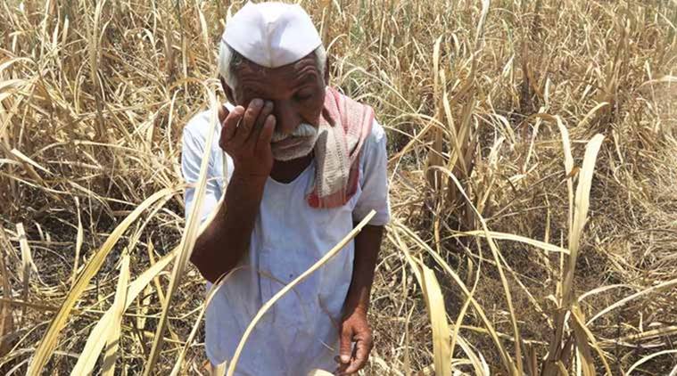 Farmers suicides, Farmers suicides during UPA rule, parshottam rupala, agriculture minister narendra singh tomar, Farmers suicides UPA, Farmers suicides BJP, farmer loan waiver, india news, Indian express