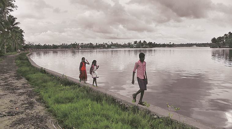 monsoon in kerala, monsoon hits kerala, indian monsoon, monsoon in india, india news, 