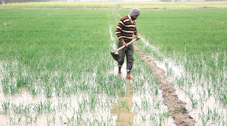 rain, monsoon, punjab monsoon, pre monsoon in punjab, punjab monsoon, punjab weather, western disturbance, indian express