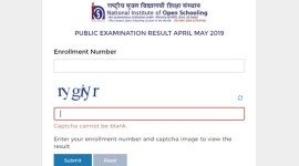 NIOS, nios.ac.in, NIOS results 2019, nios results, nios class 12 results, nios class 10 results, nios result, board exams