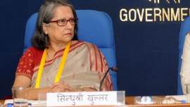 inx media case, p chidambaram, Sindhushree Khullar, ex niti aayog chief, cbi case, indian express