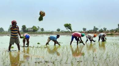 agri experts, Montek panel report, Jalandhar news, Punjab news, Indian express news