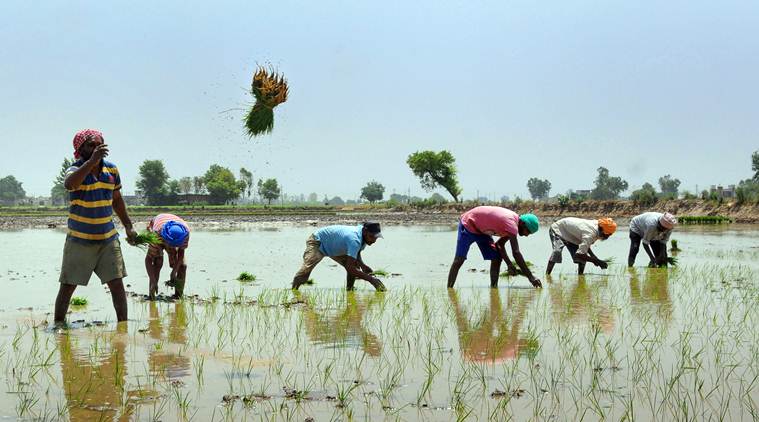 For Haryana, Punjab, last fortnight one of the driest periods since January