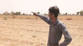 Gujarat Pollution Control Board, landfill site patan, patan landfill site, gujarat patan land fill site, ahmedabad news