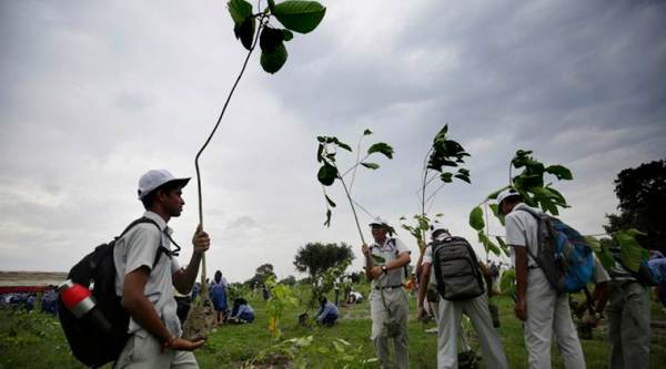 green maharashtra, green maharashtra initiative, maharashtra plantation drive, plantation drive in maharashtra, india news, Indian Express