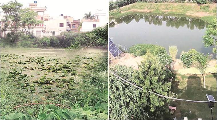 Parched Punjab finds a source of water: rejuvenated village ponds