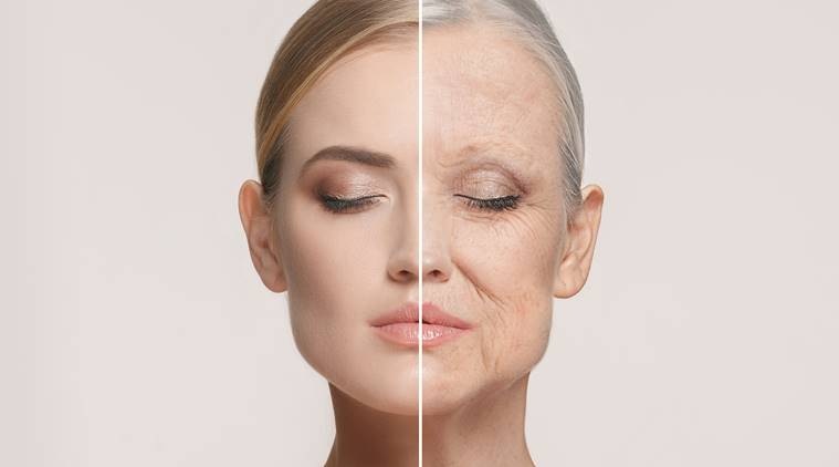 ageing, premature ageing, fight grey hair, wrinkles, how to keep skin young, how to keep a glowing skin, how to fight premature ageing, diet for premature ageing, early signs of ageing, skin care treatments, skin care habits, skin care routine to fight premature ageing, how to look young, what to eat to look young, what to include in diet to keep skin healthy, wrinkles and premature ageing, indianexpress.com, Nmami Agarwal, Nmami Life, tips to keep your skin glowing, indianexpressonline, indianexpress, avocado for skin, tomatoes for skin health, green tea benefits, walnuts for skin, melanin secretion,