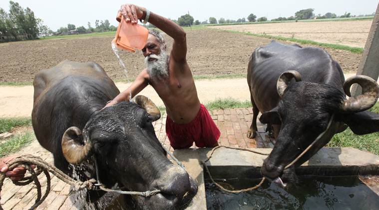 Punjab, Punjab water scarcity, Punjab water shortage, punjab agriculture, water shortage in punjab, punjab farmers, punjab rivers, Groundwater, tube wells, Indian Express news