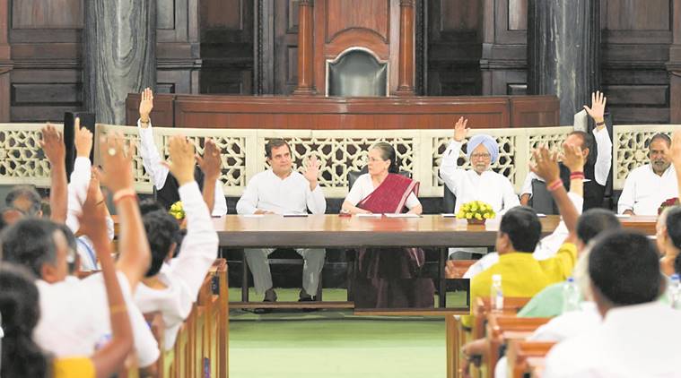 Rahul gandhi, sonia gandhi, congress parliamentary party, cpp meeting, congress chairperson, congress voting, rahul leadership, sonia on rahul gandhi, sonia on rahul gandhi leadership, indian express
