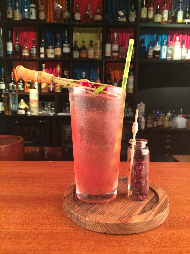 summer, summer drinks, cranberry popsicles, cranberry sorbet
