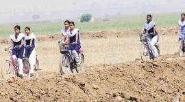 rural road, rural problems, village roads, budget village road, Pradhan Mantri Gram Sadak Yojana, Rural development and agriculture minister, Narendra Singh Tomar, PM Awas Yojana-Gramin, Indian express