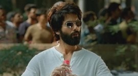 Kabir Singh box office collection