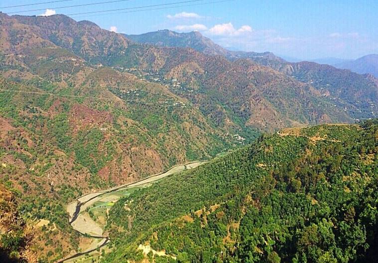 shoghi