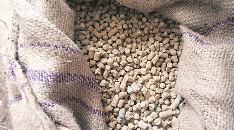 Slow monsoon progress delays sowing of soyabean, cotton crops
