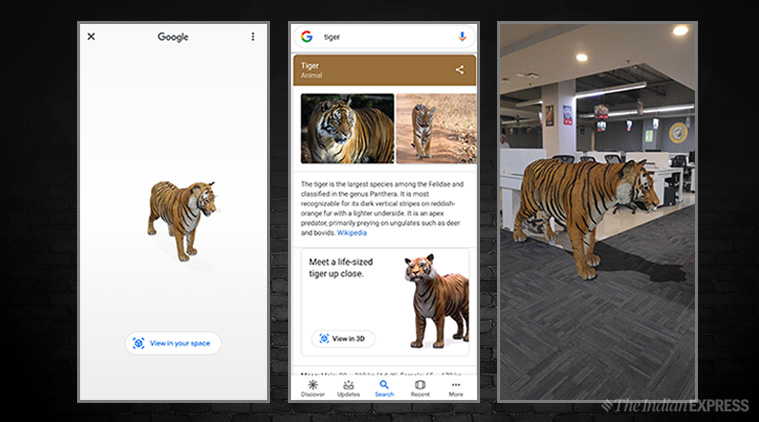 Tiger in your room! Google AR search lets you bring 3D animals in real  world | Technology News,The Indian Express