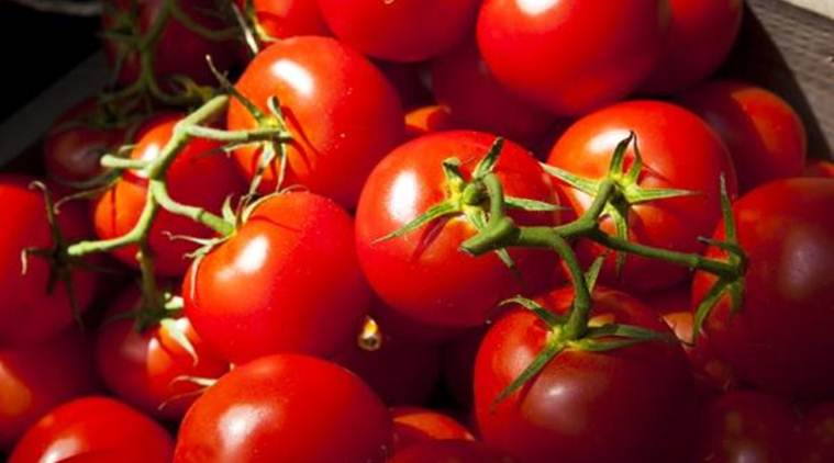 Explained: Solanum plastisexum; Australia’s new sex-changing tomato