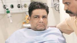 tree mumbai no alt set