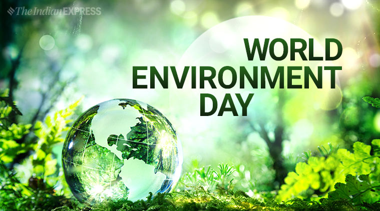 world environment day presentation ppt