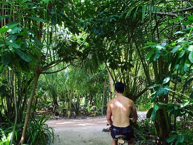 Joe Jonas honeymoon