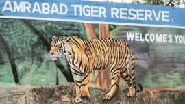Amrabad Tiger Reserve, Amrabad Tiger Reserve drilling, telangana Amrabad Tiger Reserve drilling, Telangana forest officer protests drilling, india news,