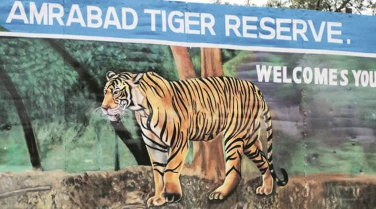 Amrabad Tiger Reserve, Amrabad Tiger Reserve drilling, telangana Amrabad Tiger Reserve drilling, Telangana forest officer protests drilling, india news,