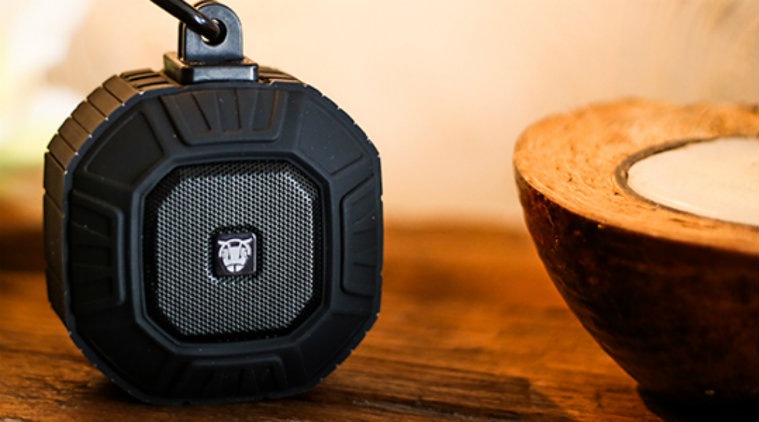 Ant Audio Ammo review