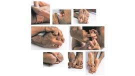 shivani aggarwal, human skin, artist, baptist coelho, stitched skin, art and culture, indian express