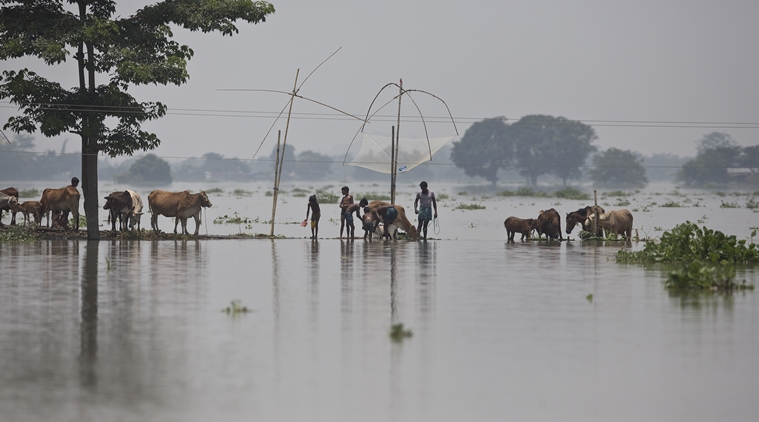 Assam, Assam floods, Assam flood relief, Assam flood latest, Kaziranga National Park, Kaziranga flooded, Assam weather, Indian Express news, Latest news