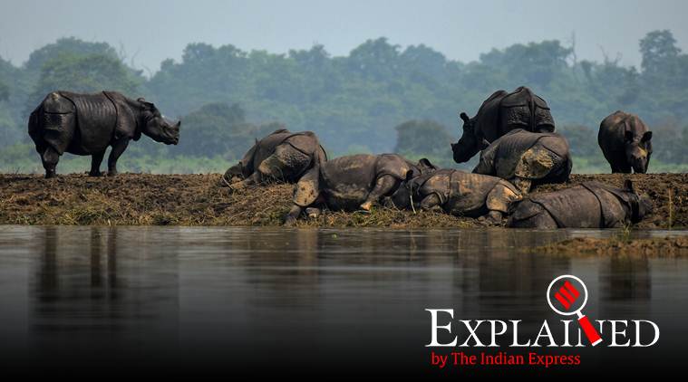 Explained: Why Assam is prone to floods and what's the solution
