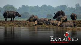 Explained: Why Assam is prone to floods and what's the solution