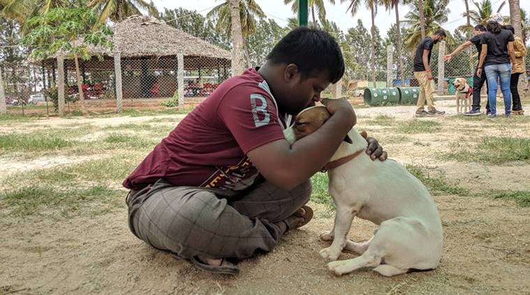 Therapy dog trainers near 2024 me