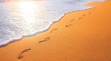 Delhi, Delhi India, Delhi neighbourhood, Janakpuri, Toulouse, Chinese streets, gut-wrenching