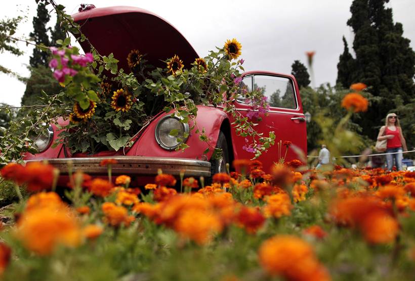 Volkswagen Beetle, volkswagen beetle photos, Volkswagen Inc, Volkswagen Beetle production ends, Beetle production ends, Volkswagen motors,