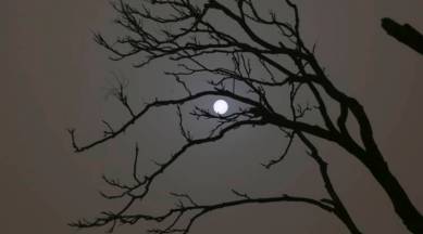 Gothic fiction, international politics, moon, full-moon nights, Hindu mythology, Artemis, African Fon people, human imagination, SundayEYE, Eye stories, indianexpress.com, indianexpress,