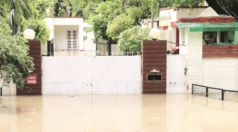 Bathinda: City grapples with submerged roads, poor drainage; 37 cows dead