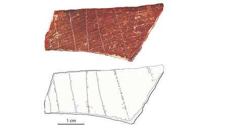 In China, archeologists find earliest evidence of ochre on bone engravings