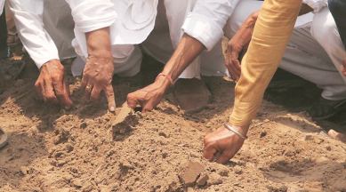 ht bt cotton, Herbicide-tolerant Bt cotton, ht bt cotton in india, ht bt cotton seeds, ht bt cotton meaning, bt cotton, bt cotton meaning, bt cotton punjab