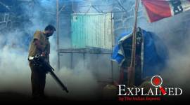 delhi dengue, delhi dengue deaths, dengue in delhi, delhi dengue deaths, delhi news, express explained, delhi dengue aap campaign, dengue kejriwal campaign