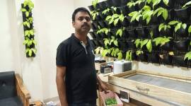 Diganta Barman, tea board india, tea growers of tripura, tripura tea, tripura tea gardens, tripura tea processing, samll tea growers, indian express
