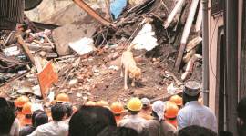 mumbai building collapse, dongri building collpase, building collapse in mumbai today, building collapse in mumbai, mumbai building collapse 201, mumbai building collapse today, mumbai dongri building, mumbai dongri building news, mumbai dongri building collapse, maharashtra building collapse, mumbai building collapse death toll