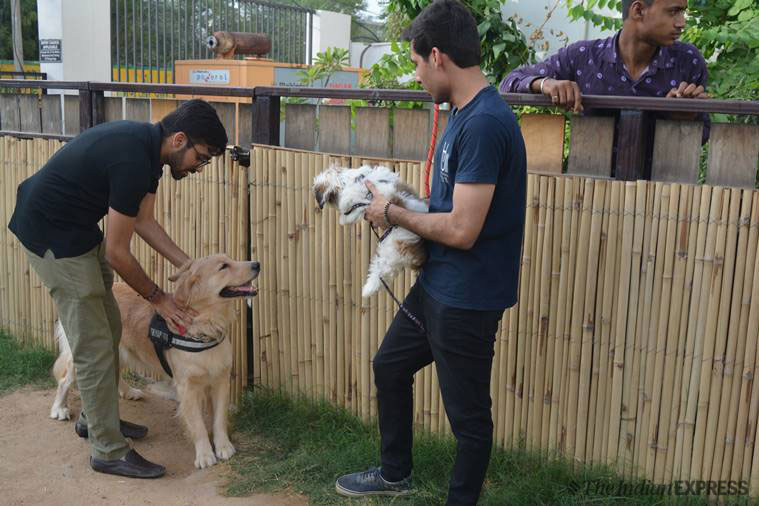 Play, cuddle, go for a walk with a dog: A therapy that's catching on |  Lifestyle News,The Indian Express