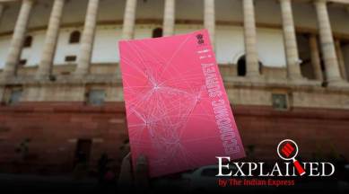 Explained: Why the Economic Survey matters?