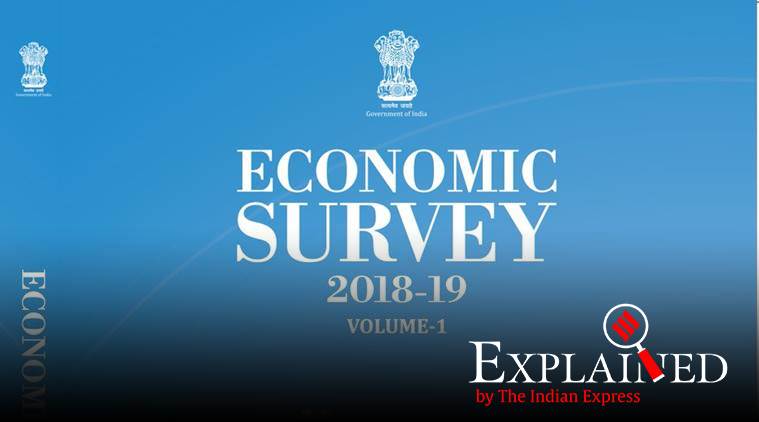 Economic Survey: Boosting investment key to making India $5 trillion economy by 2025  Explained 