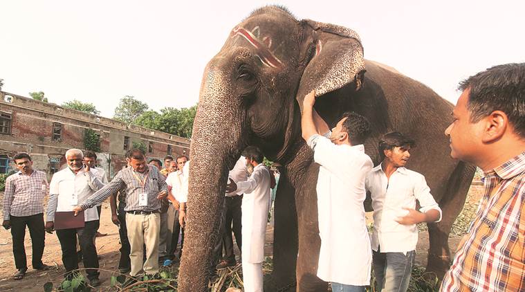 Gujarat, Gujarat news, Lord Jagannath Rath Yatra festival, Police vigil on Gujarat Lord Jagannath Rath Yatra, Gujarat safety measures for Lord Jagannath Rath Yatra, Gujarat Police Rath Yatra festival, Police surveillance in rath yatra, Indian Express news