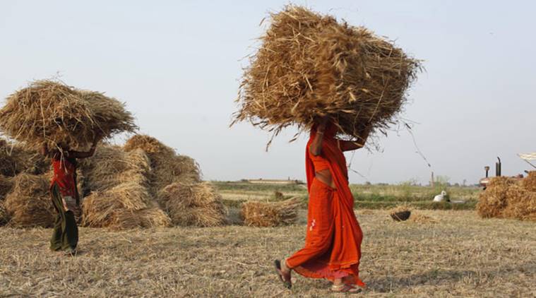 Not a single Uttar Pradesh farmer has got PM-Kisan 3rd tranche, Finance Ministry concerned