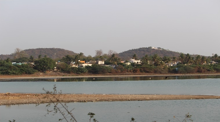 Chennai: Desilting Of Chitlappakkam Lake Resumes After Minor Hiccups 