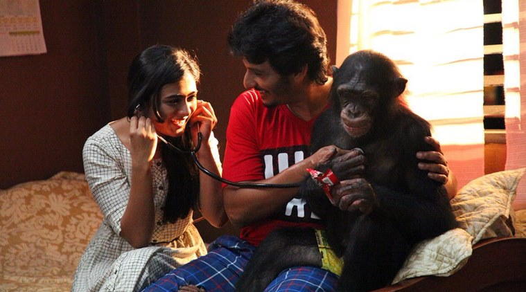 Tamilrockers 2019 Gorilla full movie download online: Gorilla Tamil